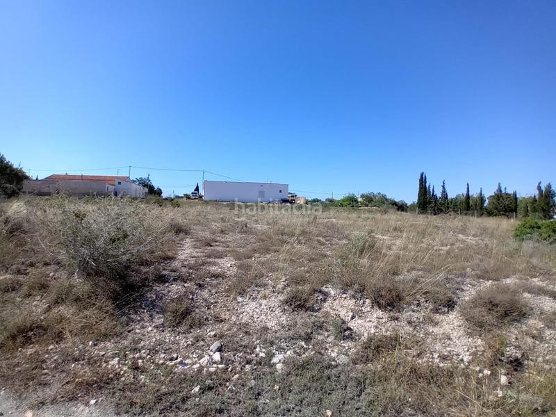 Foto 102c4b4a-0ab0-42b5-b2f3-cdff3134427e. Finca rústica terreno en Valverde, elche en Valverde Elche / Elx