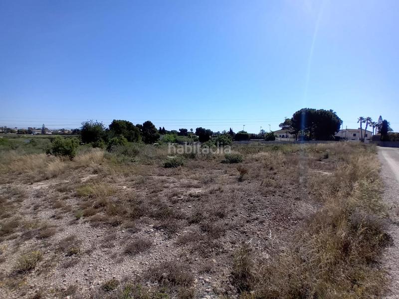 Foto 1b824bbd-4e30-4556-b3c3-775b2c780dec. Finca rústica terreno en Valverde, elche en Valverde Elche / Elx