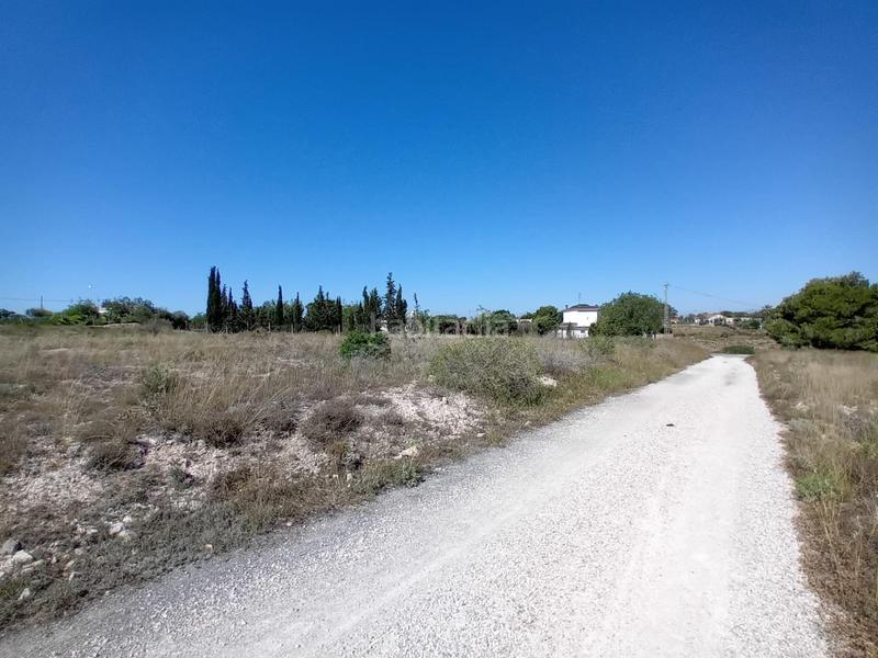 Foto 5583efd6-058a-4416-a72e-97c7e7976321. Finca rústica terreno en Valverde, elche en Valverde Elche / Elx