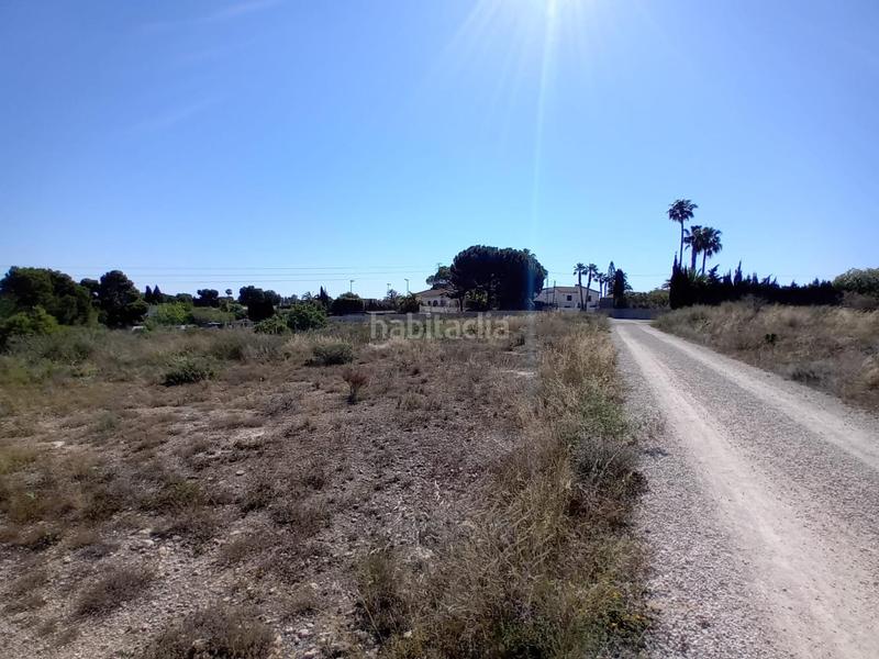 Foto 838298db-18ef-42d3-8be2-e7798a4b7577. Finca rústica terreno en Valverde, elche en Valverde Elche / Elx