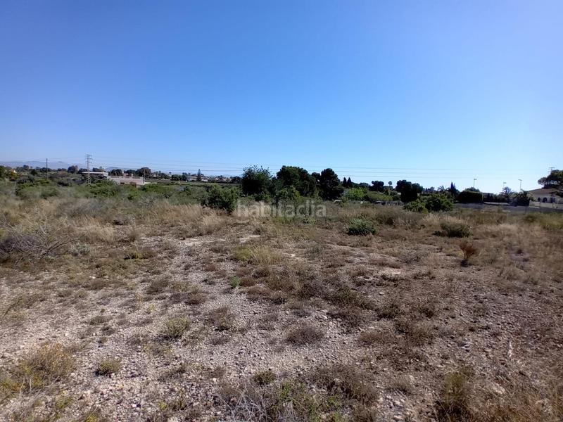 Foto 91e729ef-31b9-4589-a5da-5f37a25af8b6. Finca rústica terreno en Valverde, elche en Valverde Elche / Elx