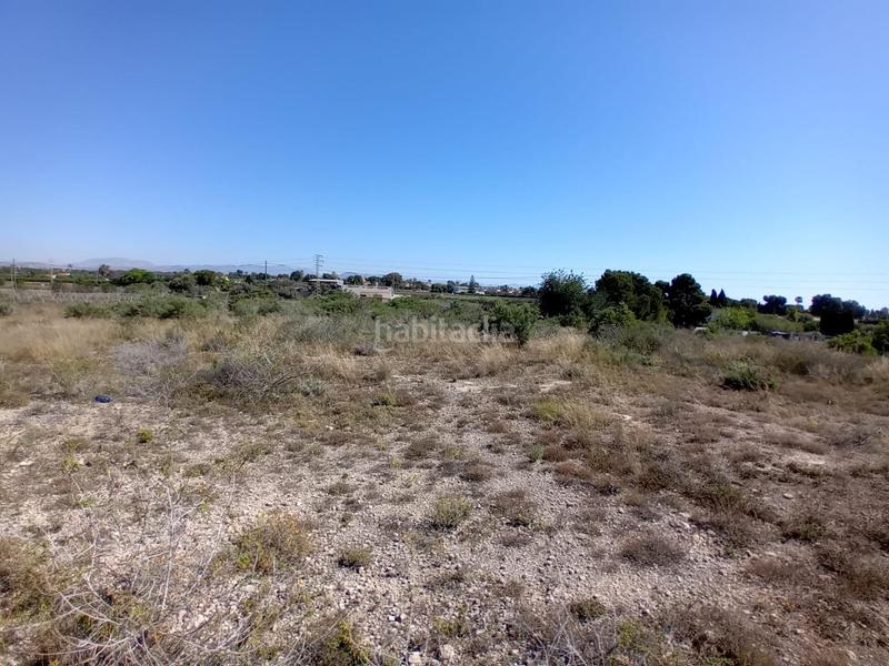 Foto 9da501e3-680d-4f2c-8776-ef3a4ec3c339. Finca rústica terreno en Valverde, elche en Valverde Elche / Elx