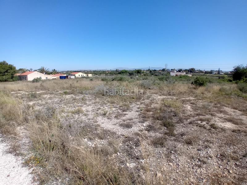 Foto abbfa764-bc22-4aa3-b508-50246727f43e. Finca rústica terreno en Valverde, elche en Valverde Elche / Elx