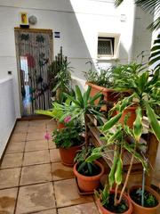 Casa aparellada a Rincón Alto. Duplex en sierra dorada con magnificas vistas