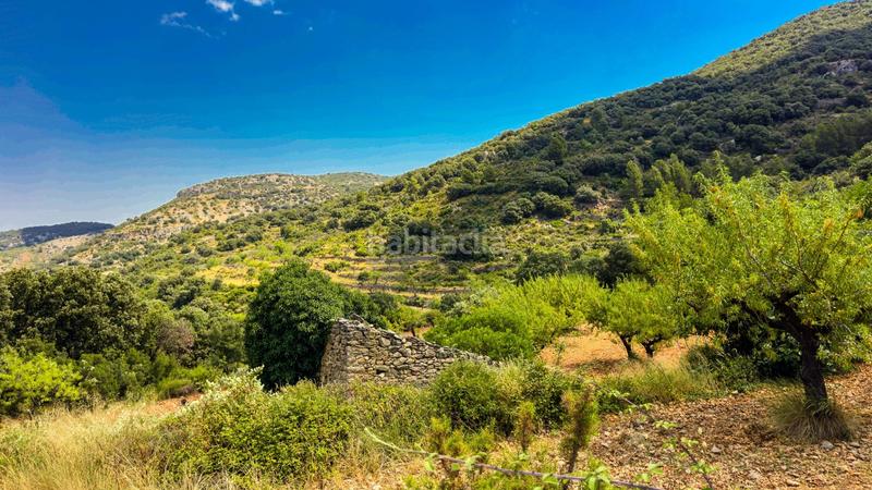 Foto e985785f-d88c-4cb1-b344-80e7c571a490. Terreny residencial a Sierra Engarcerán