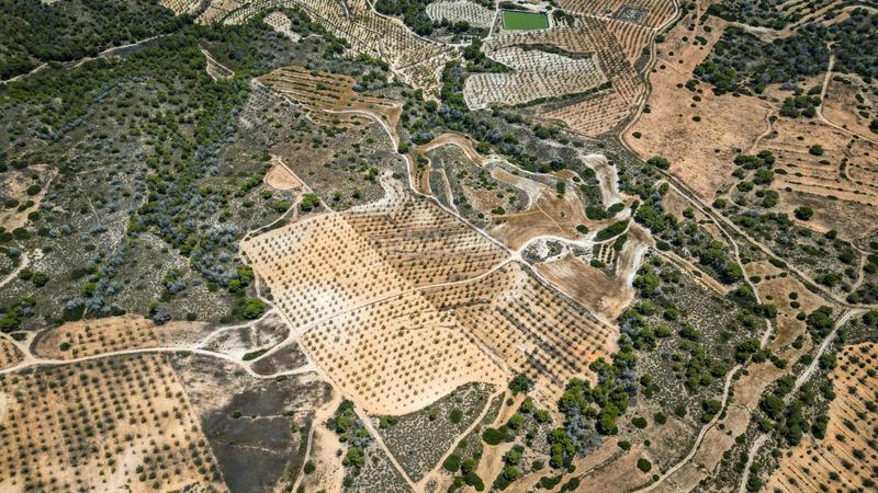 Foto 2353a814-09cf-46f8-b5f9-48345083d9dd. Finca rústica terreno rústico en Sucina Murcia