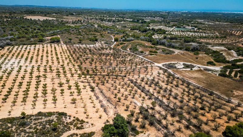 Foto 4ae8a1a7-4fd1-4fbc-8c17-980279caf3e0. Finca rústica terreno rústico en Sucina Murcia