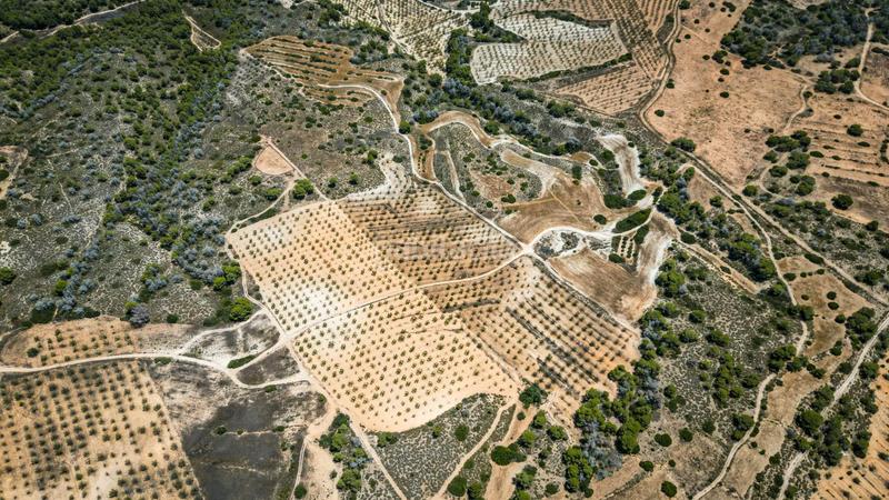 Foto 5e760766-4533-492f-946a-c855b3d4570b. Finca rústica terreno rústico en Sucina Murcia