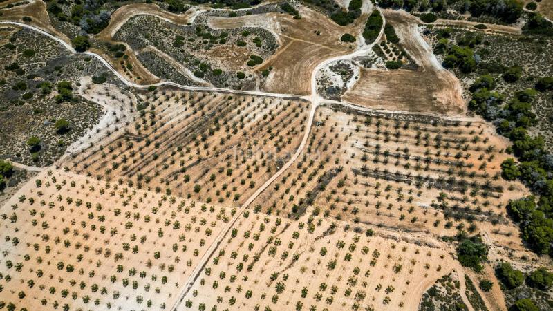 Foto 73a35740-e17b-4b4b-a8d1-e17d31b3d278. Finca rústica terreno rústico en Sucina Murcia