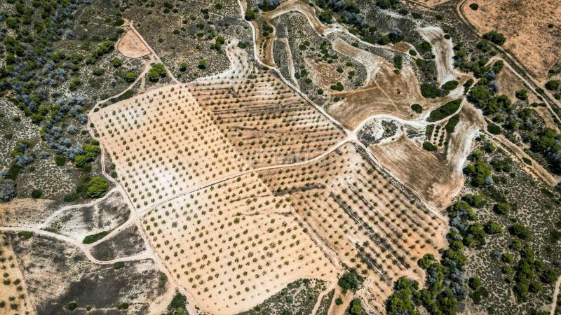 Foto 7b65900a-b518-45e5-bc9e-33755a61f66e. Finca rústica terreno rústico en Sucina Murcia