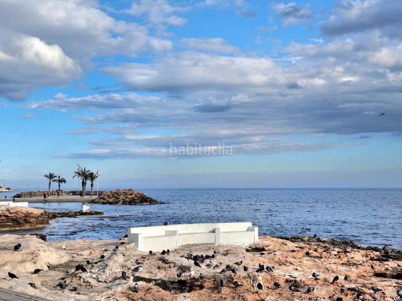 Foto 9552c9f6-d59a-4503-af54-cedce89843ab. Alquiler apartamento piso reformado céntrico al lado del mar en Torrevieja