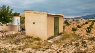 Finca rústica  Polígono 26 paraje 127 pinoso. Terreno perfecto para construir su mansión en pinoso