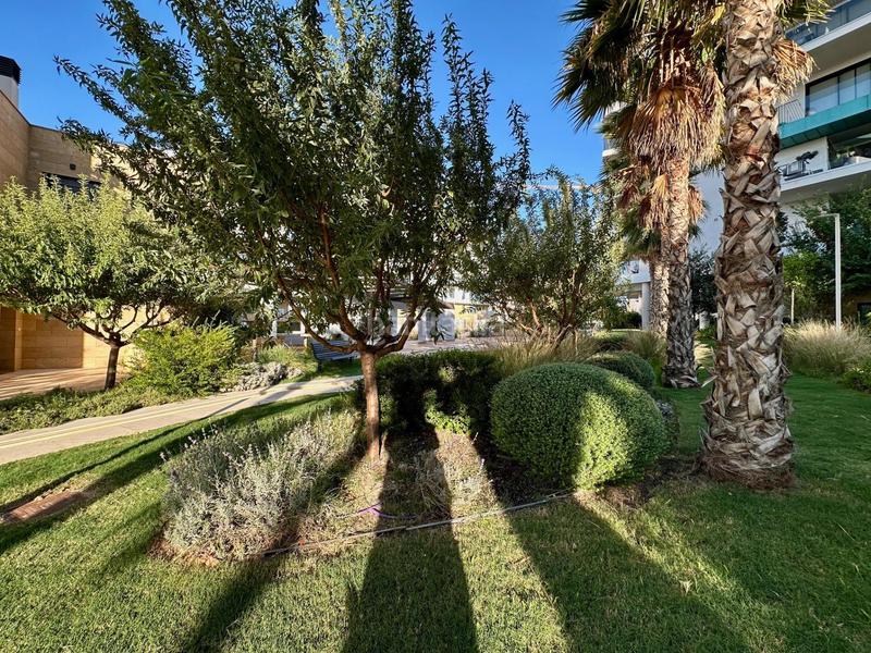 Foto 0a76c7a9-ea49-4c5a-b4f9-6439a160c632. Lloguer apartament a calle edeta 3 a Platja de Torres Vila Joiosa (la)