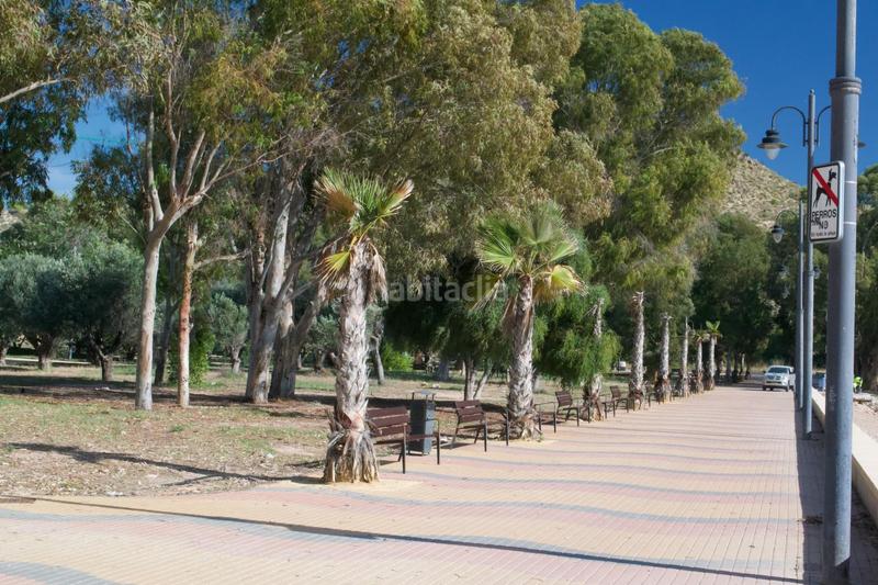 Foto 3cbf06bf-0925-464c-b73e-743643fe0bc1. Lloguer apartament a calle edeta 3 a Platja de Torres Vila Joiosa (la)