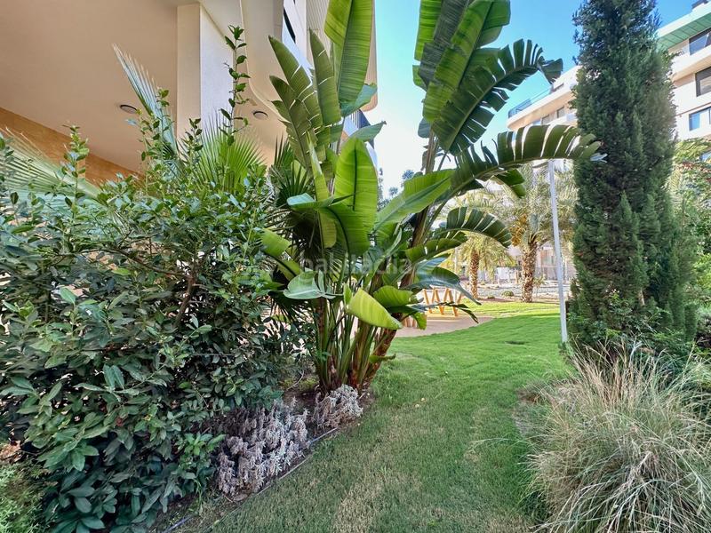 Foto 53834a2c-1bfc-465c-9619-dd8610cc344f. Lloguer apartament a calle edeta 3 a Platja de Torres Vila Joiosa (la)