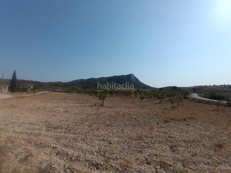 Foto 9e0dbc19-1a1b-4cbe-a2e3-17ec768bb72f. Casa adosada vivienda doble en Fortuna