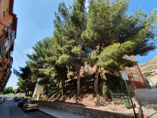 Rent Flat  Calle heladeros artesanos. Alquiler temporal en jijona