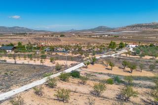 Landgut  Polígono 37 parcela 286 casas sanchis. monovar/mo. Finca rústica con producción agrícola, tu refugio de campo