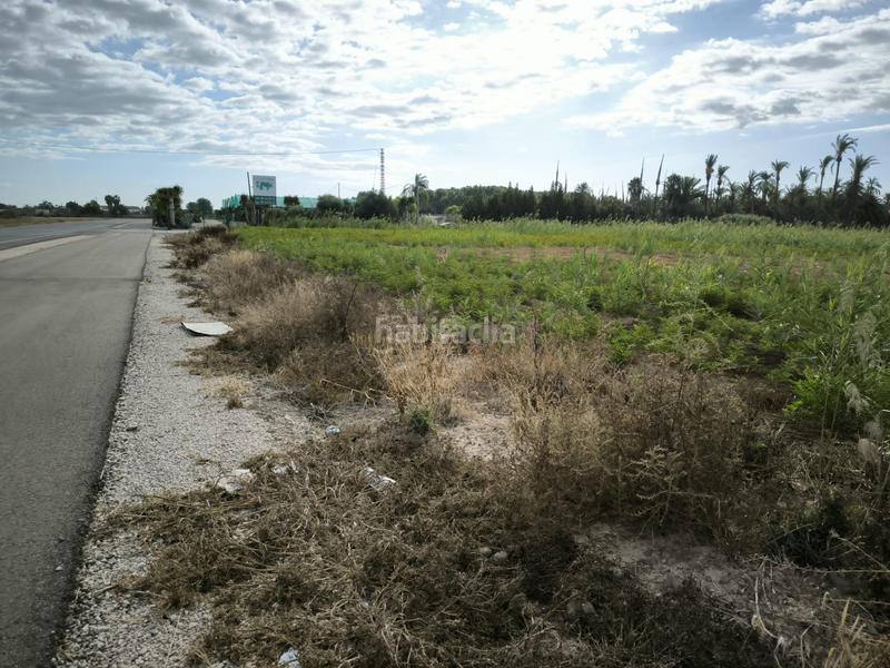 Foto 020df1fc-6e72-4067-8d64-b543e67264b6. Finca rústica a La Foia - Daimés - Asprella Elche / Elx