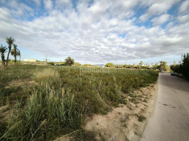 Foto 02cf2775-d861-48f9-9136-bbbaedfe8bcb. Finca rústica a La Foia - Daimés - Asprella Elche / Elx