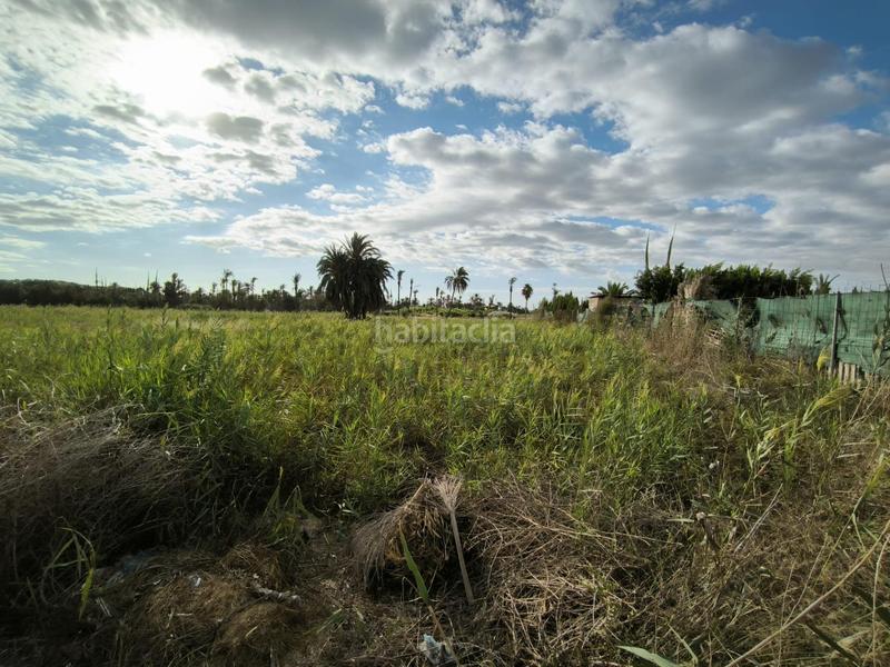 Foto 06736191-1779-491d-81f4-8f1a6afa13a1. Finca rústica a La Foia - Daimés - Asprella Elche / Elx