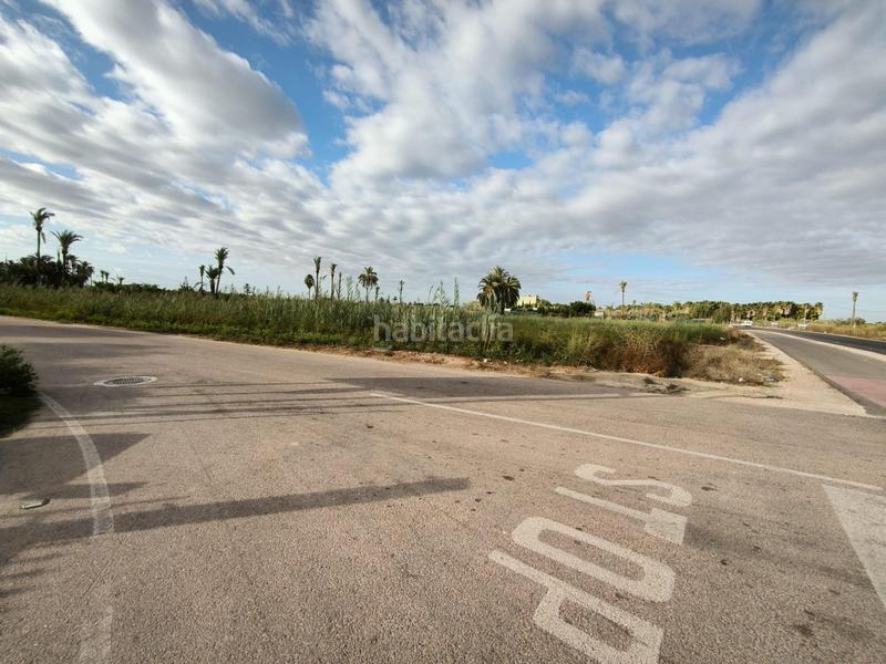 Foto 105b7709-d05c-41e3-8cf8-ef6c0f07a0bd. Finca rústica a La Foia - Daimés - Asprella Elche / Elx