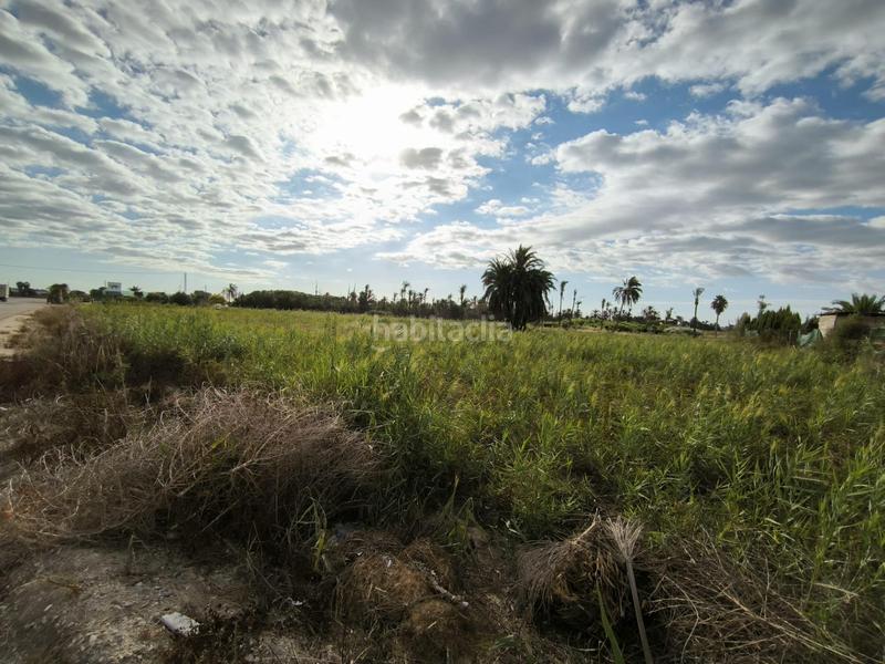 Foto 2bc0501d-d0d0-4c95-9ff1-ecd6e5e7db52. Finca rústica a La Foia - Daimés - Asprella Elche / Elx