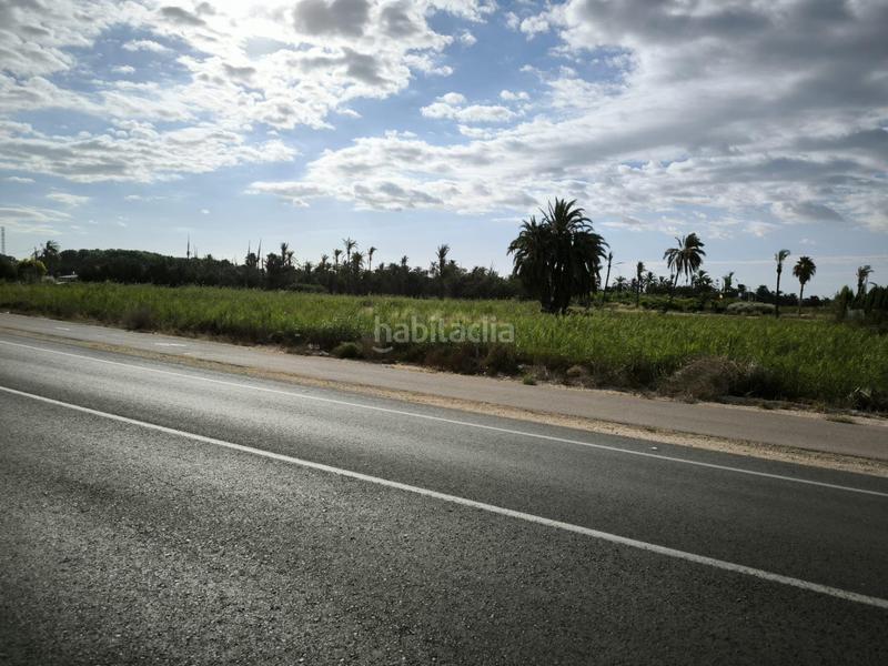 Foto 336e3aa8-b8b5-4da8-86fa-5adec1b2028b. Finca rústica a La Foia - Daimés - Asprella Elche / Elx