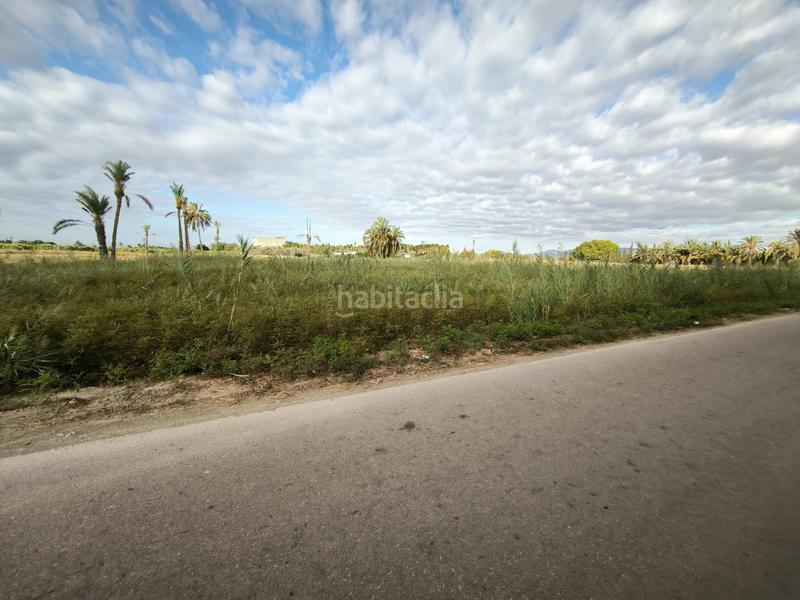 Foto 4de85b76-f25f-4531-928b-bbf6eb17802c. Finca rústica a La Foia - Daimés - Asprella Elche / Elx