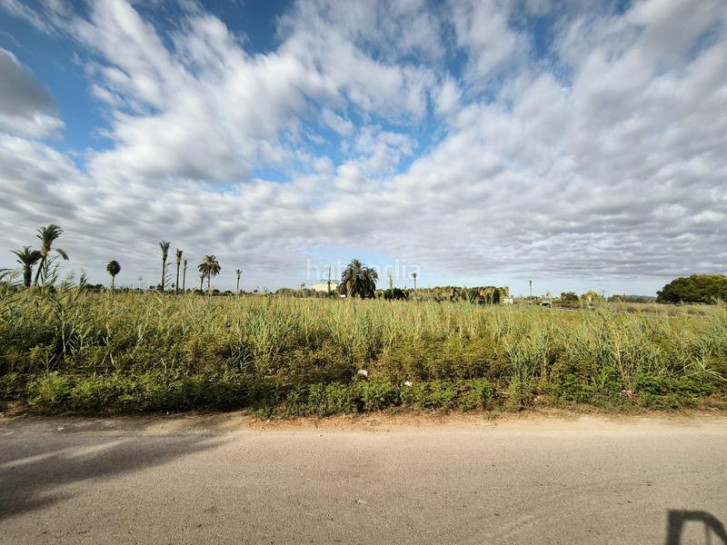 Foto 545b2cf2-bcbd-42ed-aa72-a0ed8ae6bc1f. Finca rústica a La Foia - Daimés - Asprella Elche / Elx