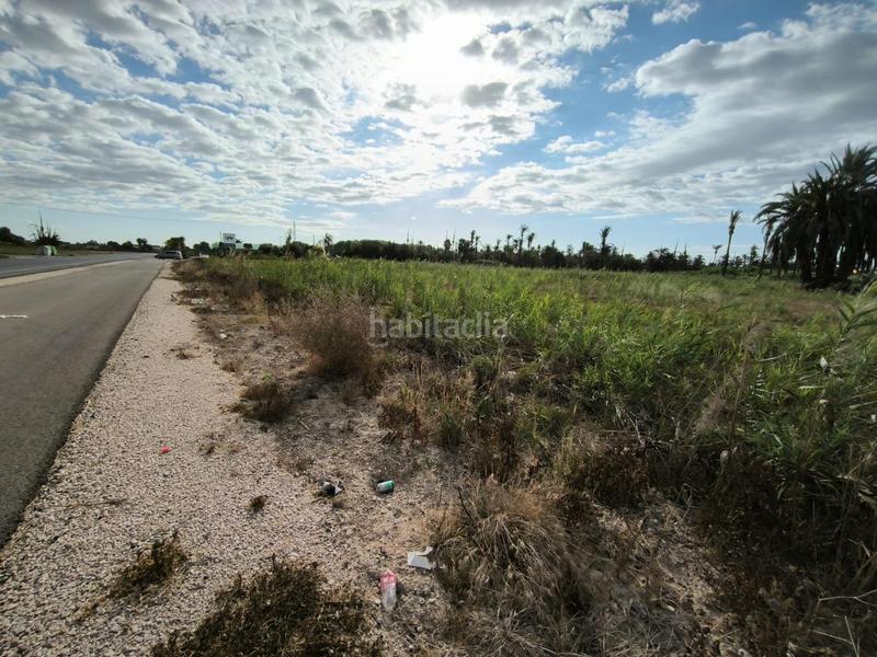 Foto 60c5c1c6-1e77-45f0-988f-3b574786fe90. Finca rústica a La Foia - Daimés - Asprella Elche / Elx