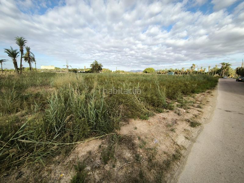 Foto 8a7d6c9e-facb-42d0-8ad0-c2274bc18bc0. Finca rústica a La Foia - Daimés - Asprella Elche / Elx