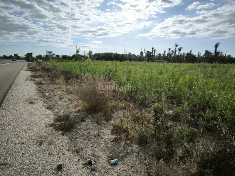 Foto e5fe439f-f0ba-4698-9150-12bd50ff7807. Finca rústica a La Foia - Daimés - Asprella Elche / Elx