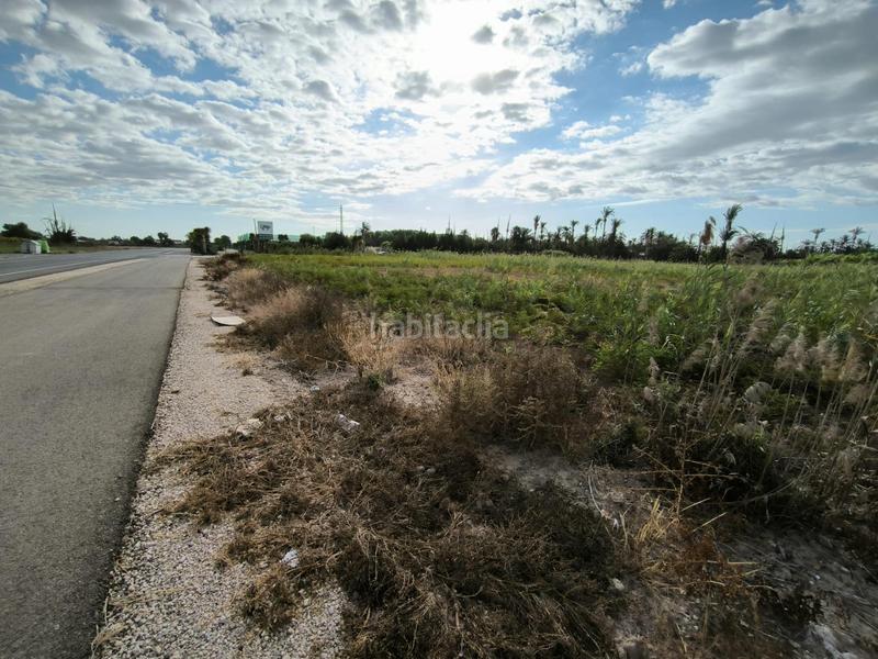 Foto ea8ad25d-483d-4d35-af8e-92903b609381. Finca rústica a La Foia - Daimés - Asprella Elche / Elx