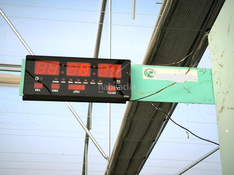 Foto 04ef9819-66d7-49c9-bca3-e687c5984423. Finca rústica a Las Bayas Elche / Elx