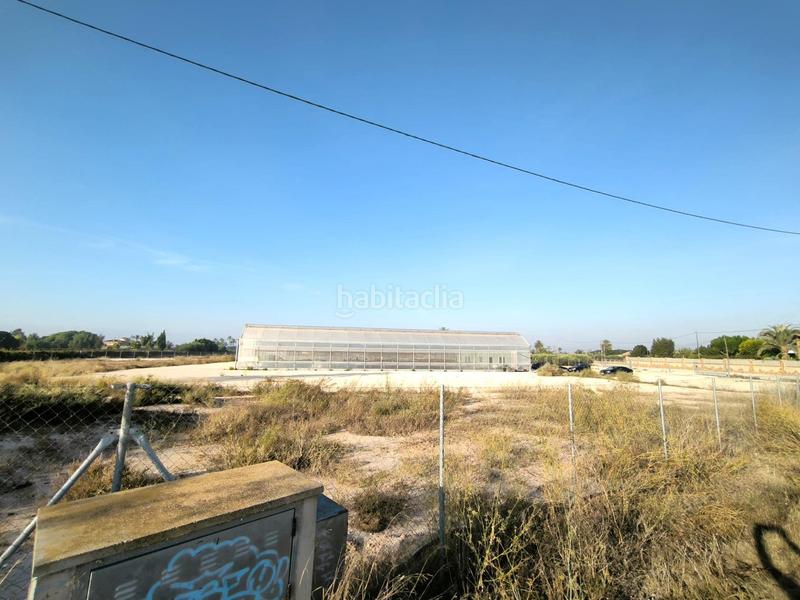 Foto 06d0318c-5241-468b-a665-7d9893dc9bf9. Finca rústica a Las Bayas Elche / Elx