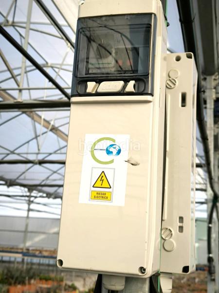 Foto 0e3e735c-fa89-49ae-9803-5cb81566cb8e. Finca rústica a Las Bayas Elche / Elx