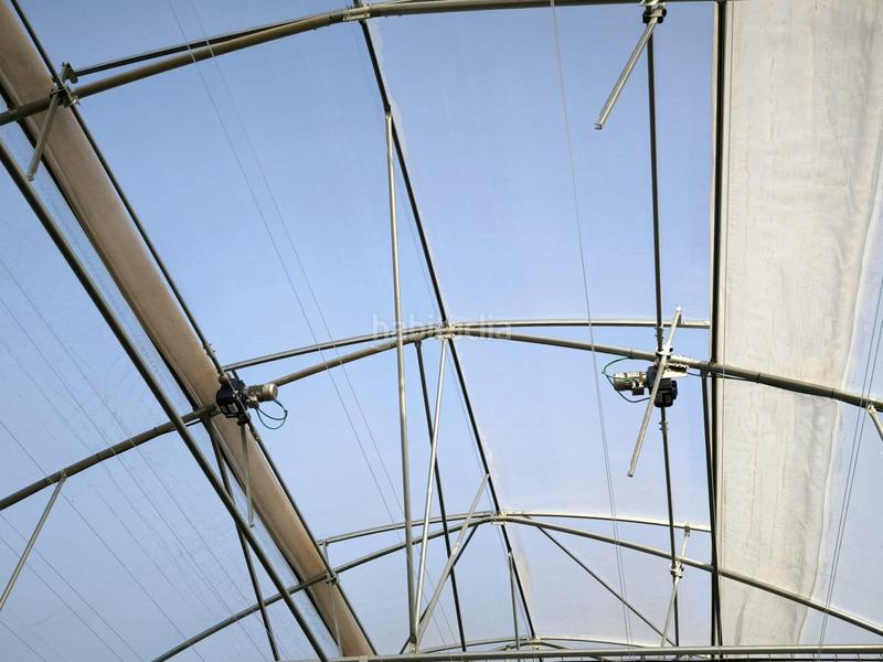 Foto 1a394183-60d2-4fbc-ba37-e99757728ca9. Finca rústica a Las Bayas Elche / Elx