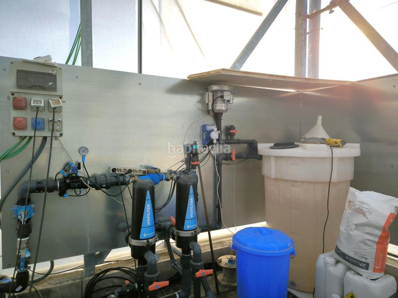 Foto 2223b4aa-a35f-4c6b-b0ae-d93004569bff. Finca rústica a Las Bayas Elche / Elx