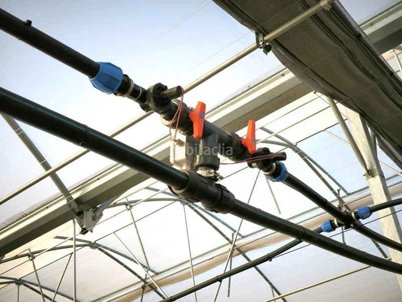 Foto 2895dece-c4d7-4151-ad5d-4f580cb46b4e. Finca rústica a Las Bayas Elche / Elx