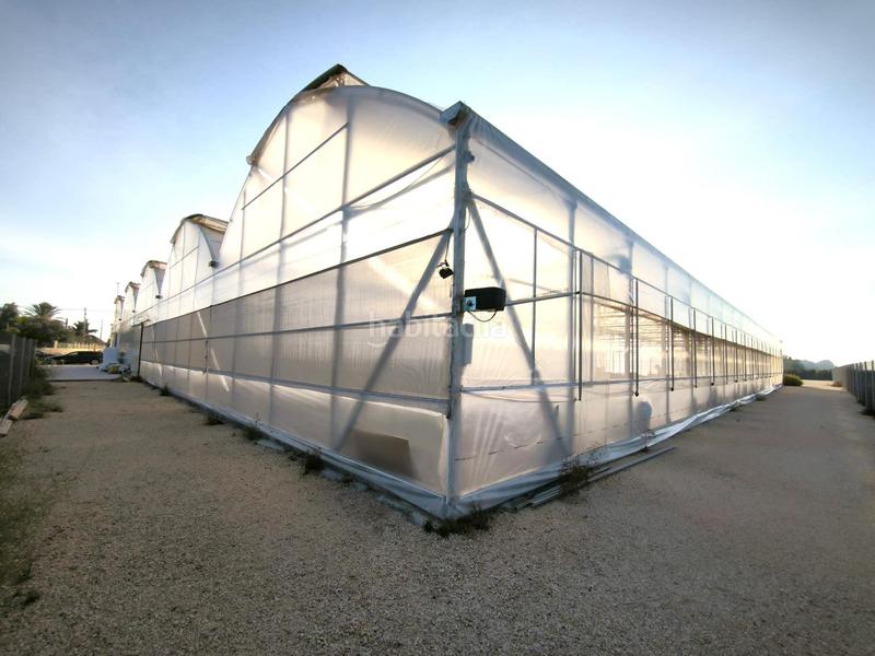 Foto 308393f7-9cc5-4aa7-bdd6-45936c232da3. Finca rústica a Las Bayas Elche / Elx