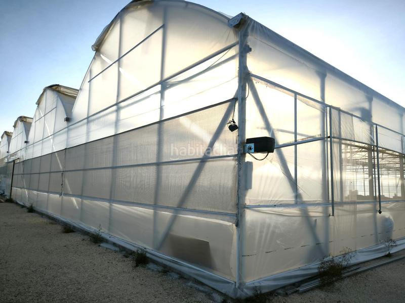 Foto 32fda197-d570-49f2-a895-1c914e0ccdcd. Finca rústica a Las Bayas Elche / Elx