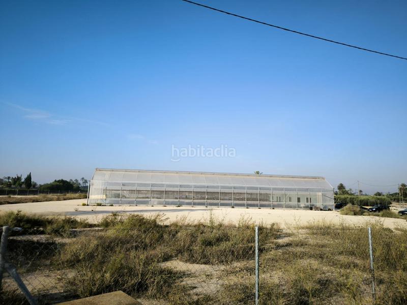 Foto 36c2810a-7a65-4f3b-8b4a-c121ca14b687. Finca rústica a Las Bayas Elche / Elx