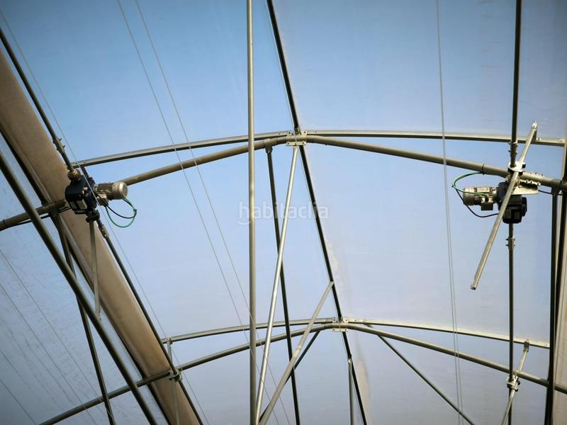 Foto 39dba0c2-a90b-4096-b811-4946a435d009. Finca rústica a Las Bayas Elche / Elx