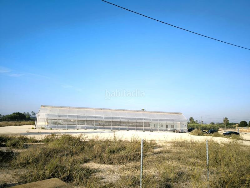 Foto 3b9379e0-66b7-4e50-997b-b9543a4be7f4. Finca rústica a Las Bayas Elche / Elx