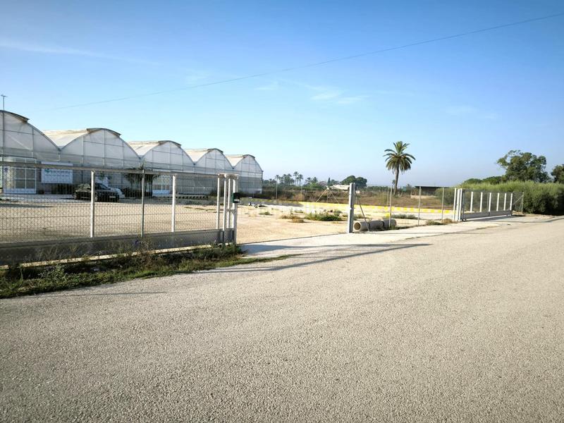 Foto 3c3d30da-870e-4432-8864-0fd4c0750303. Finca rústica a Las Bayas Elche / Elx