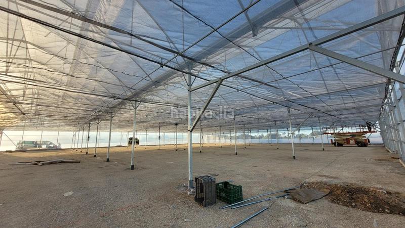 Foto 3d41a4b8-ffe8-42b3-bc74-b63bc822e08c. Finca rústica a Las Bayas Elche / Elx