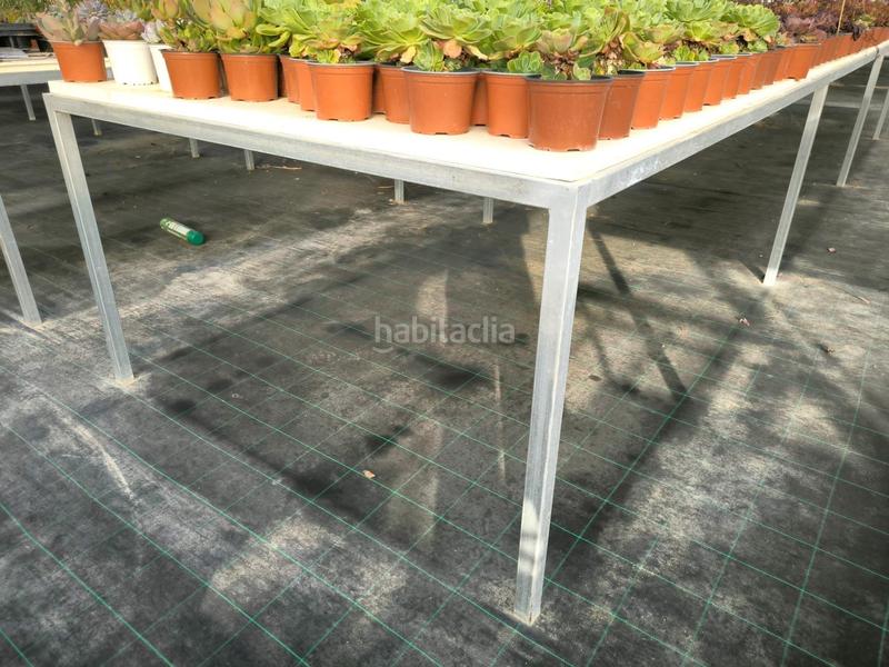 Foto 44afe440-c031-46a3-a5a4-669de16278d8. Finca rústica a Las Bayas Elche / Elx