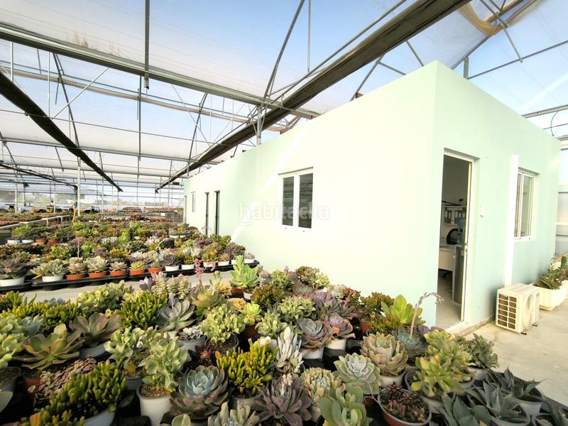 Foto 45791da1-bfa1-406b-9c72-c6ab70374d7e. Finca rústica a Las Bayas Elche / Elx