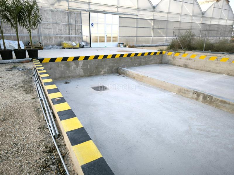 Foto 56baa384-51a9-4536-915a-290199f95dc4. Finca rústica a Las Bayas Elche / Elx